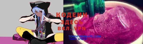стаф Белокуриха