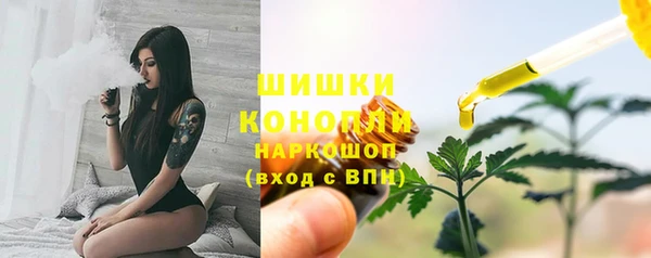 стаф Белокуриха