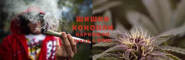 стаф Белокуриха