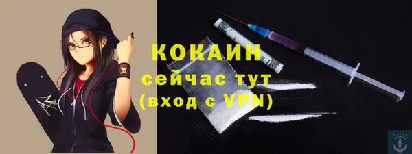 стаф Белокуриха