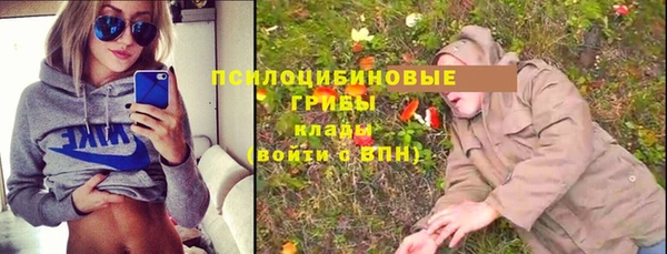 стаф Белокуриха