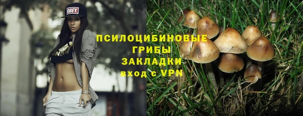 стаф Белокуриха
