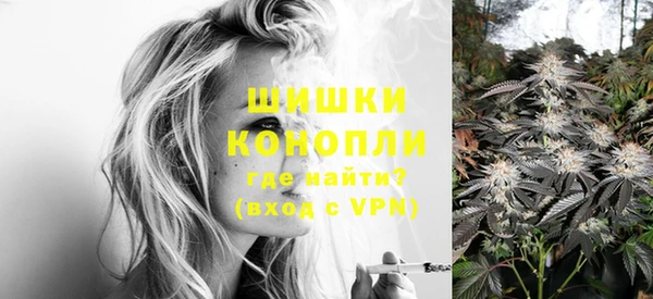 стаф Белокуриха