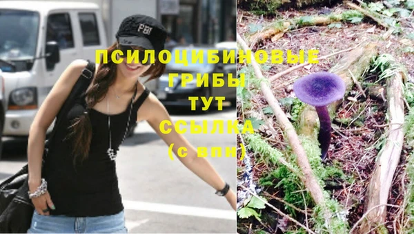 стаф Белокуриха