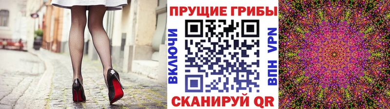 хочу наркоту  Ачхой-Мартан  Галлюциногенные грибы мухоморы 